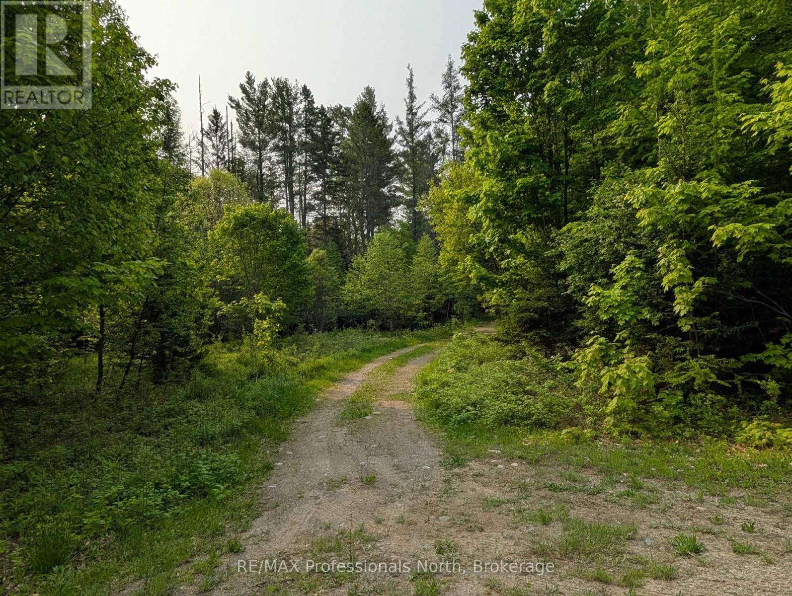 0 Woods Road, Parry Sound Remote Area, Ontario  P0A 1X0 - Photo 3 - X12214539