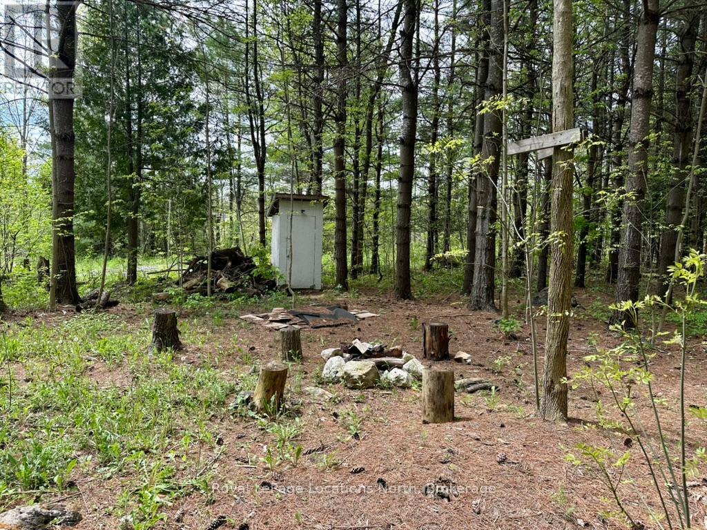 777215 Highway 10, Chatsworth, Ontario  N0H 1R0 - Photo 10 - X12025203