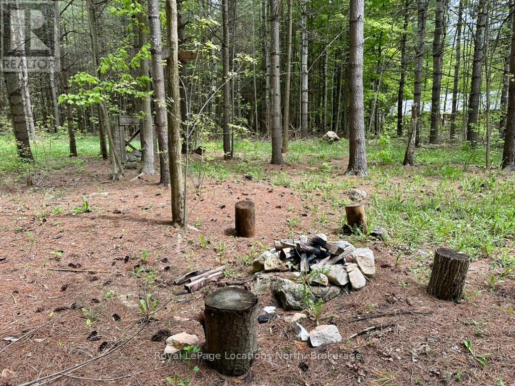 777215 Highway 10, Chatsworth, Ontario  N0H 1R0 - Photo 12 - X12025203