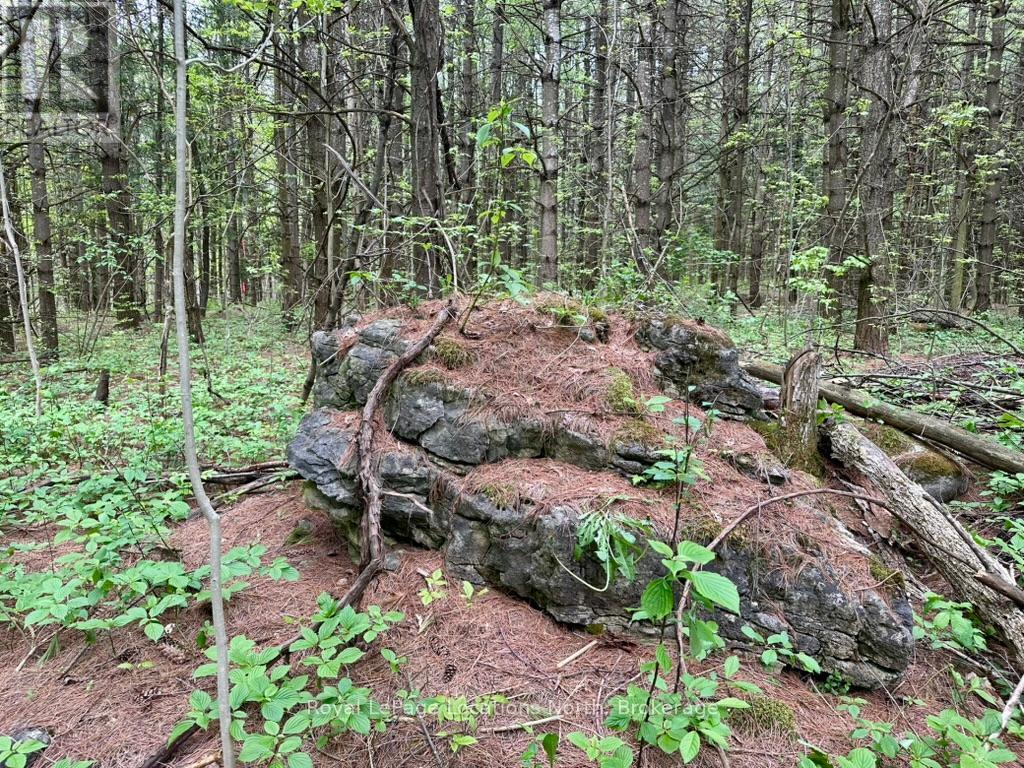 777215 Highway 10, Chatsworth, Ontario  N0H 1R0 - Photo 19 - X12025203