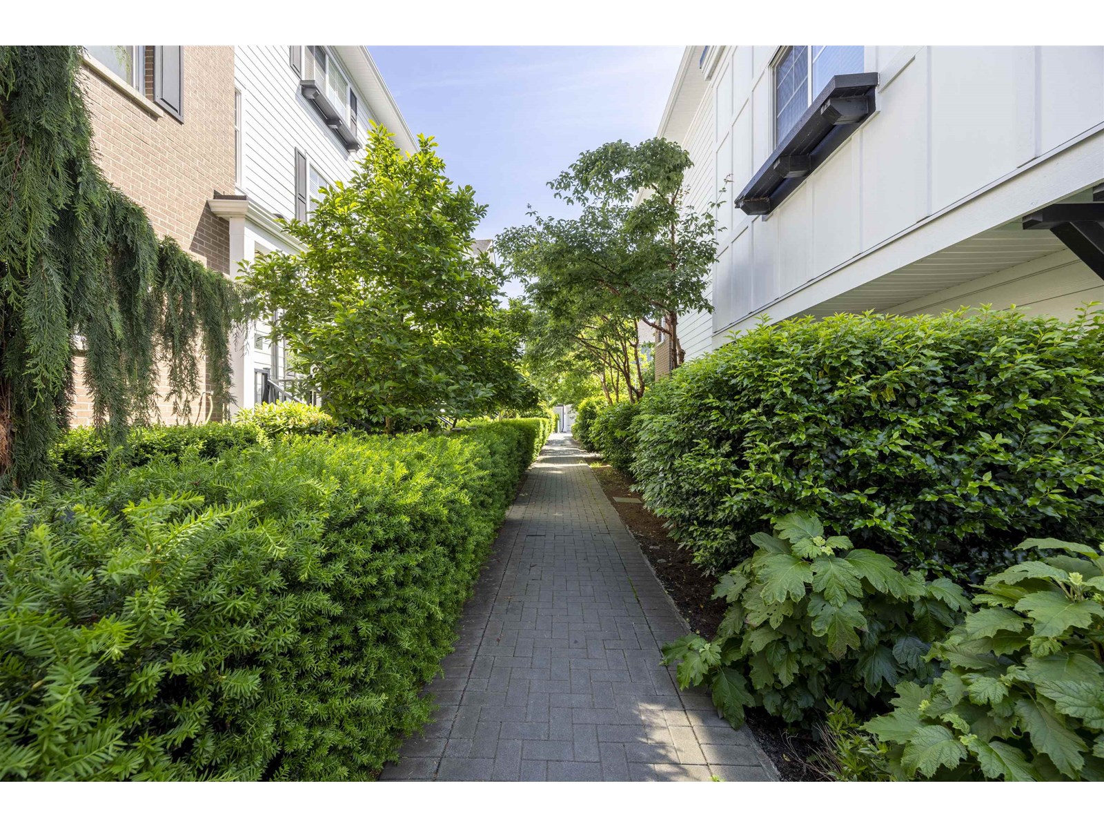 16 16458 23a Avenue, Surrey, British Columbia  V3Z 0L9 - Photo 32 - R3014662