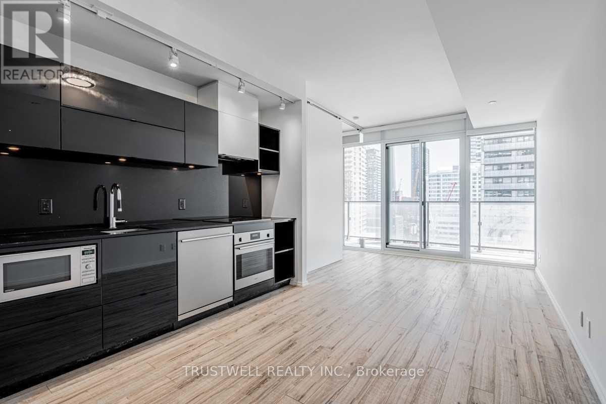 1310 - 125 Peter Street, Toronto, Ontario  M5V 0M2 - Photo 3 - C12214663