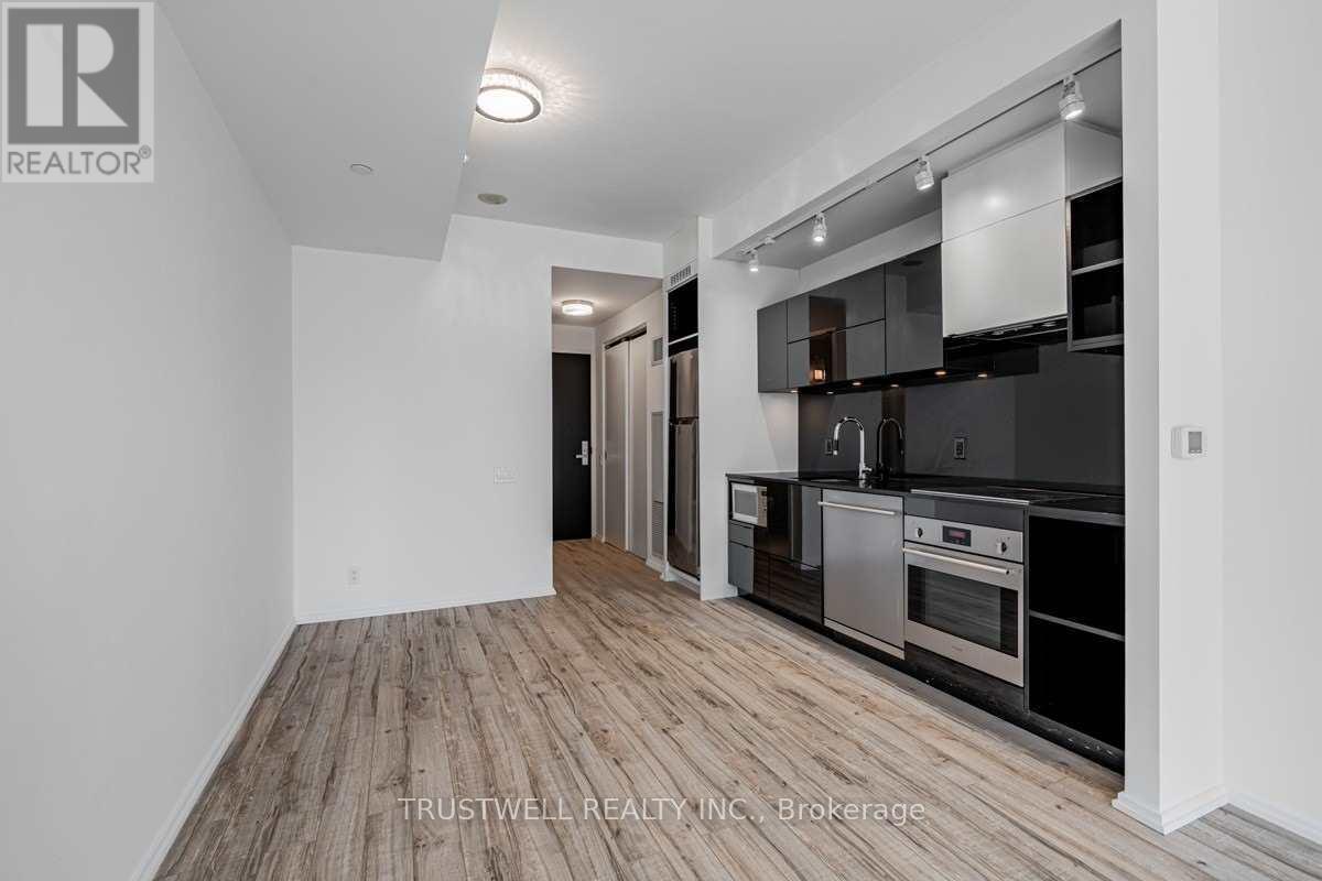 1310 - 125 Peter Street, Toronto, Ontario  M5V 0M2 - Photo 4 - C12214663