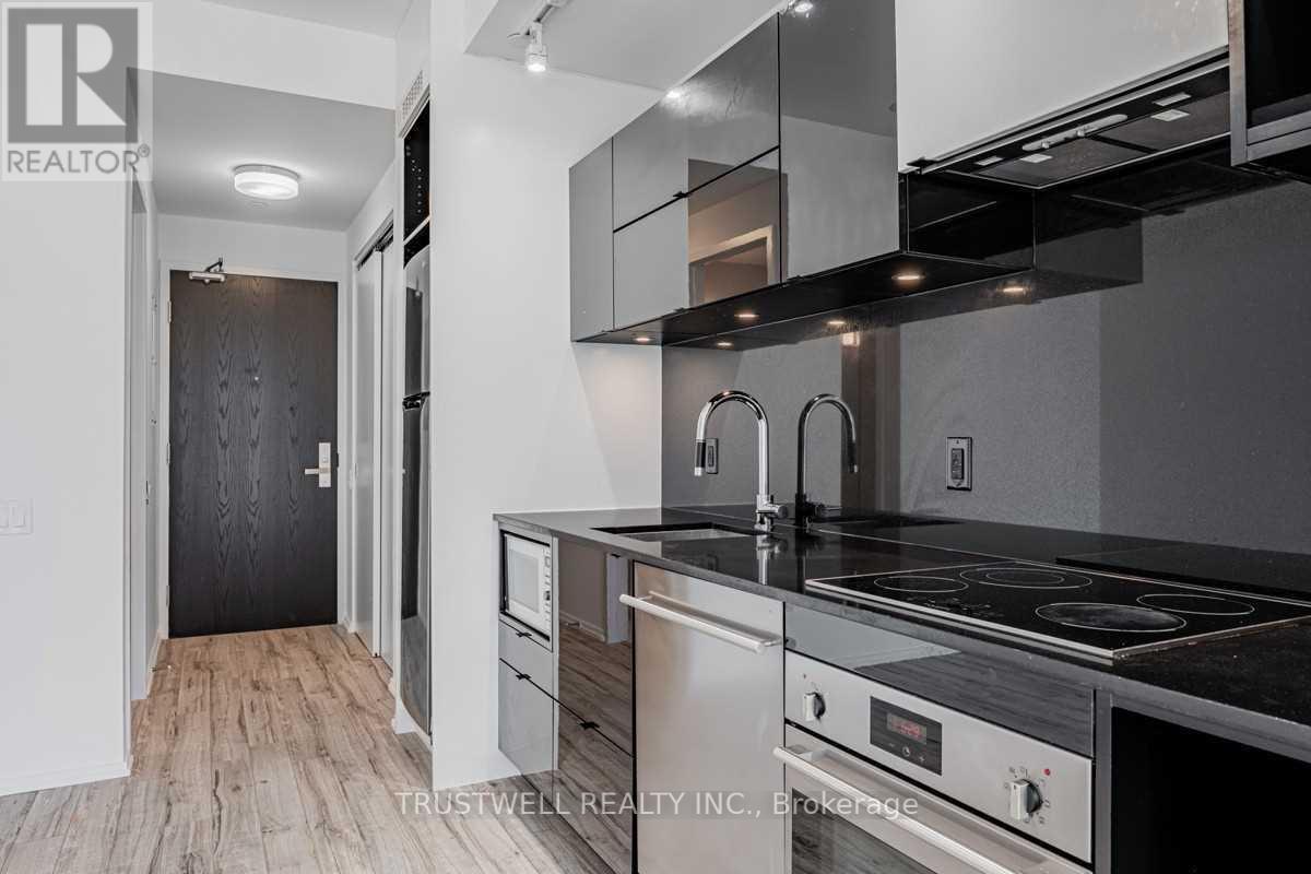 1310 - 125 Peter Street, Toronto, Ontario  M5V 0M2 - Photo 6 - C12214663