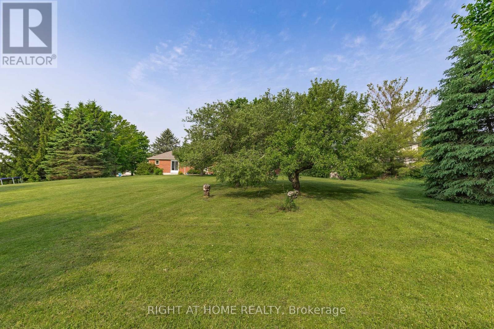5 Madill Drive, Mono, Ontario  L9W 6G3 - Photo 47 - X12214839