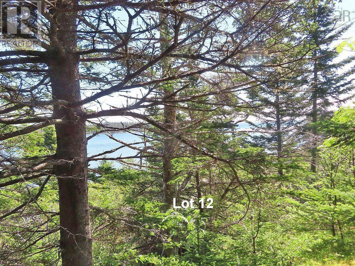 Lot 12 316 Hwy (English Harbour), Cole Harbour, Nova Scotia  B0H 1T0 - Photo 13 - 202514324