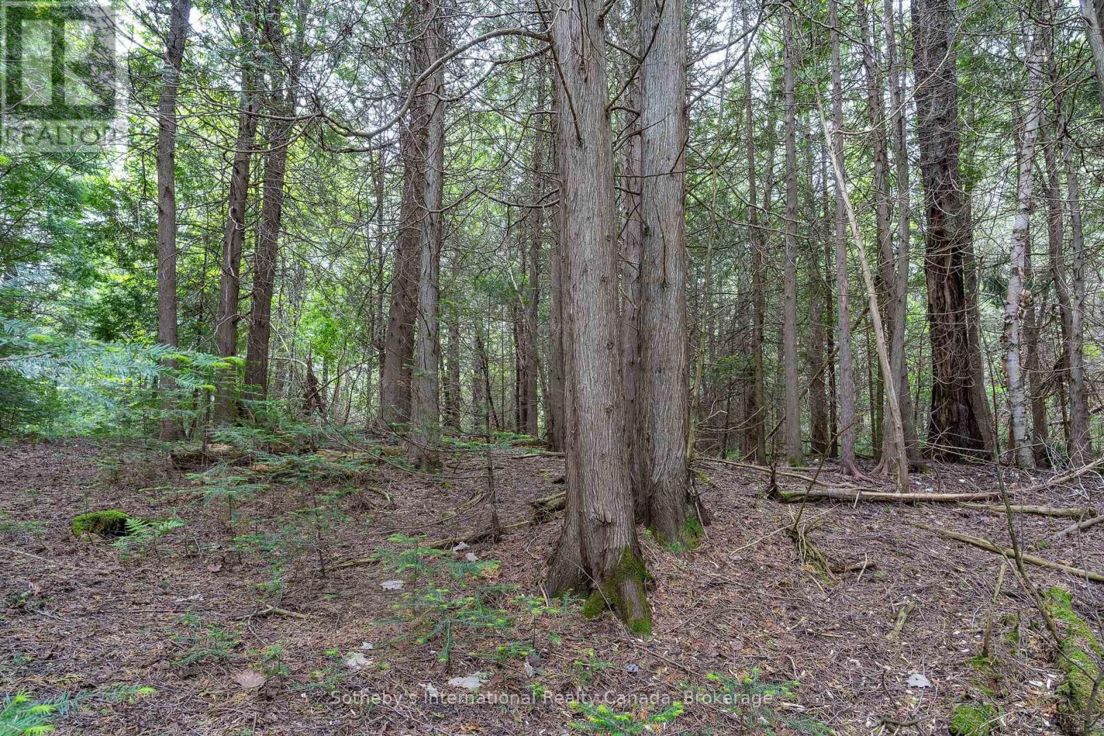 397061 5th Line, Melancthon, Ontario  L0N 1S9 - Photo 36 - X12214881