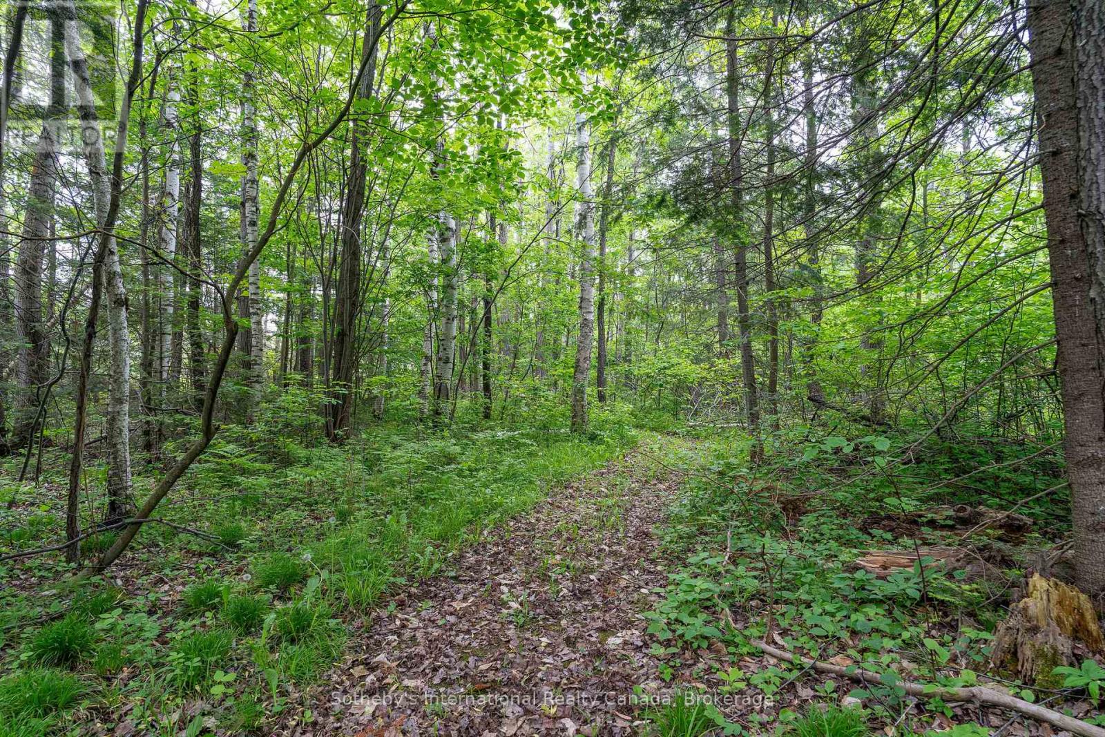397061 5th Line, Melancthon, Ontario  L0N 1S9 - Photo 44 - X12214881