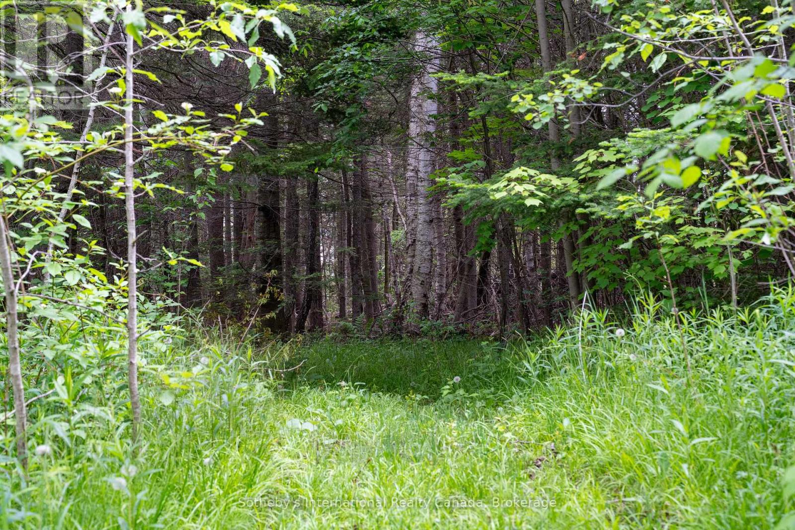 397061 5th Line, Melancthon, Ontario  L0N 1S9 - Photo 45 - X12214881