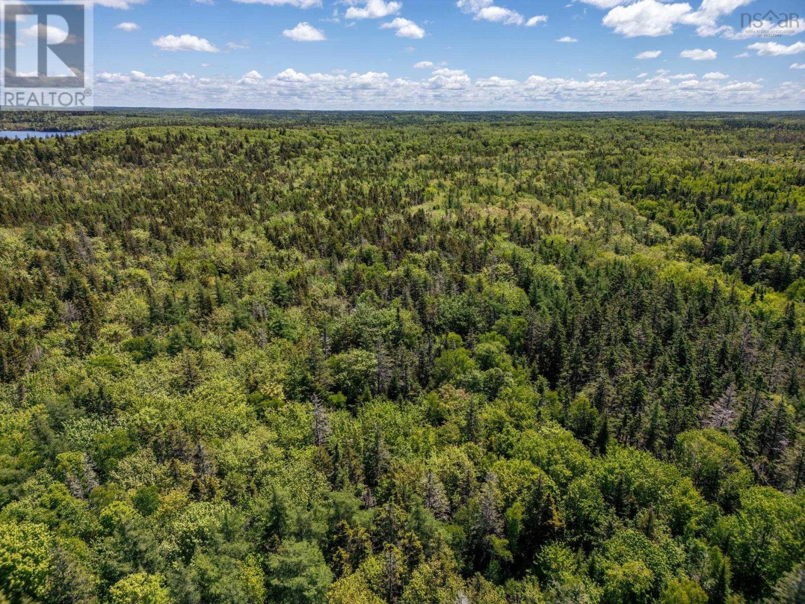 Lot Highway 1, Beaver River, Nova Scotia  B5A 5B1 - Photo 8 - 202514357