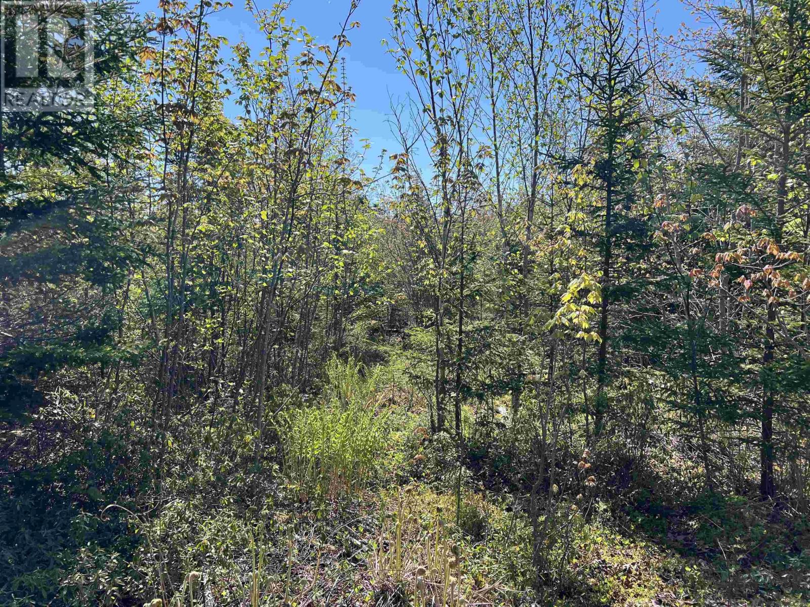 Lot 2a Highway 329, Deep Cove, Nova Scotia  B0J 1T0 - Photo 13 - 202514361