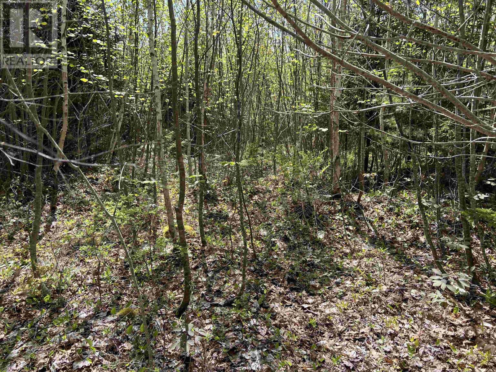 Lot 2a Highway 329, Deep Cove, Nova Scotia  B0J 1T0 - Photo 4 - 202514361