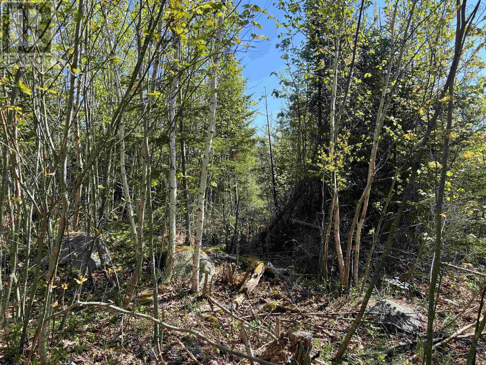 Lot 2a Highway 329, Deep Cove, Nova Scotia  B0J 1T0 - Photo 9 - 202514361