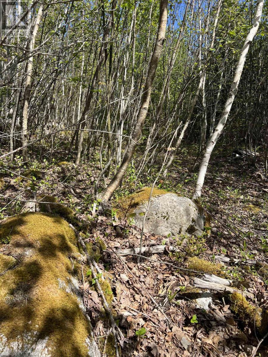 Lot 2a Highway 329, Deep Cove, Nova Scotia  B0J 1T0 - Photo 7 - 202514361