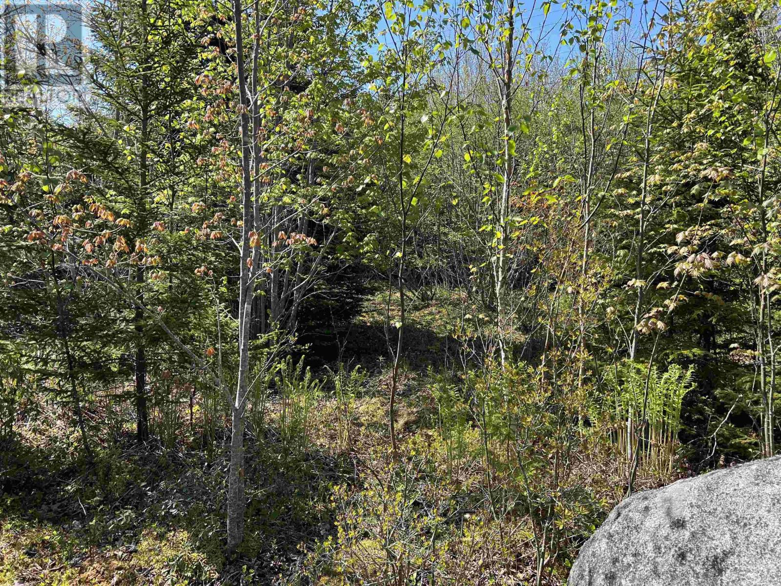 Lot 2a Highway 329, Deep Cove, Nova Scotia  B0J 1T0 - Photo 12 - 202514361