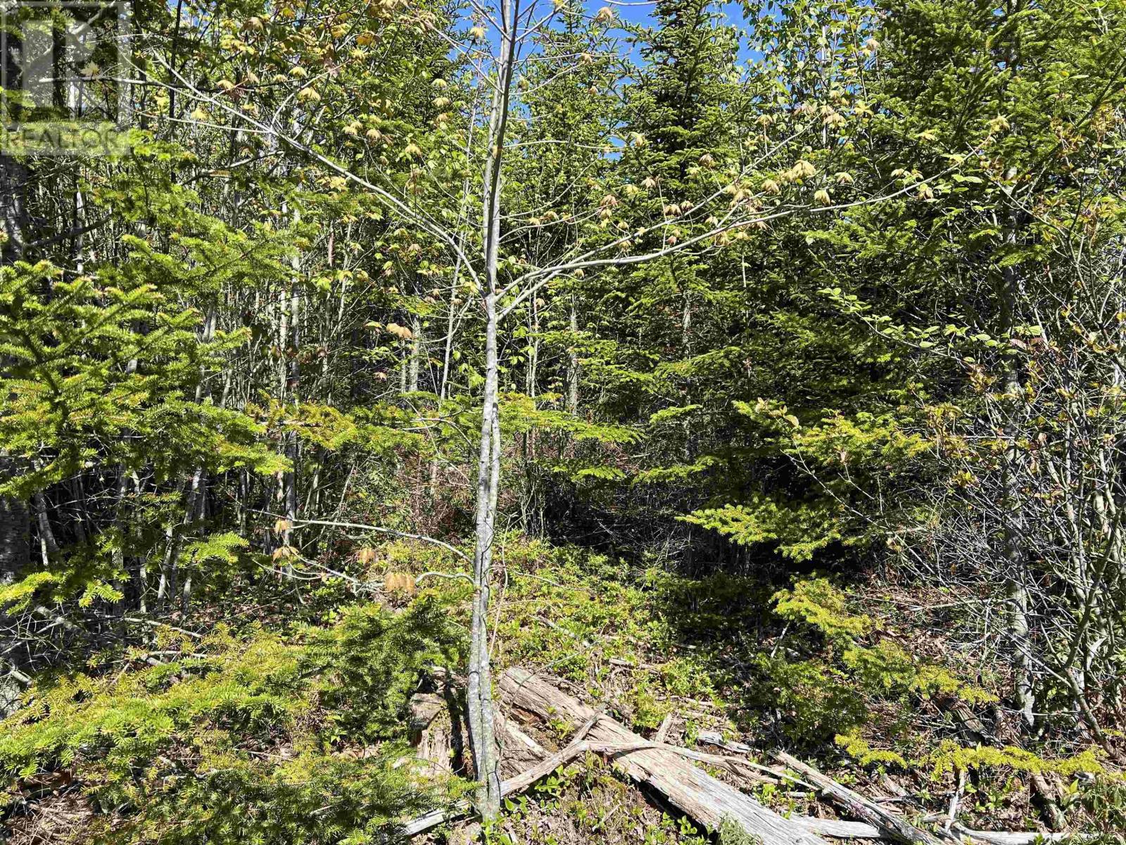 Lot 2a Highway 329, Deep Cove, Nova Scotia  B0J 1T0 - Photo 10 - 202514361