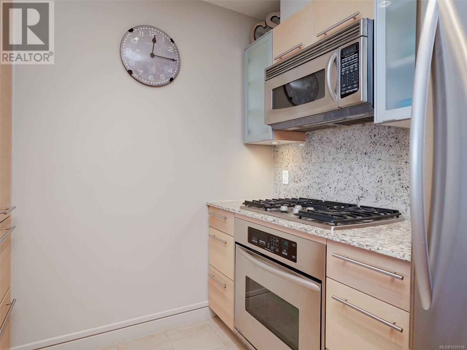 205 68 Songhees Rd, Victoria, British Columbia  V9A 0A3 - Photo 10 - 1000516