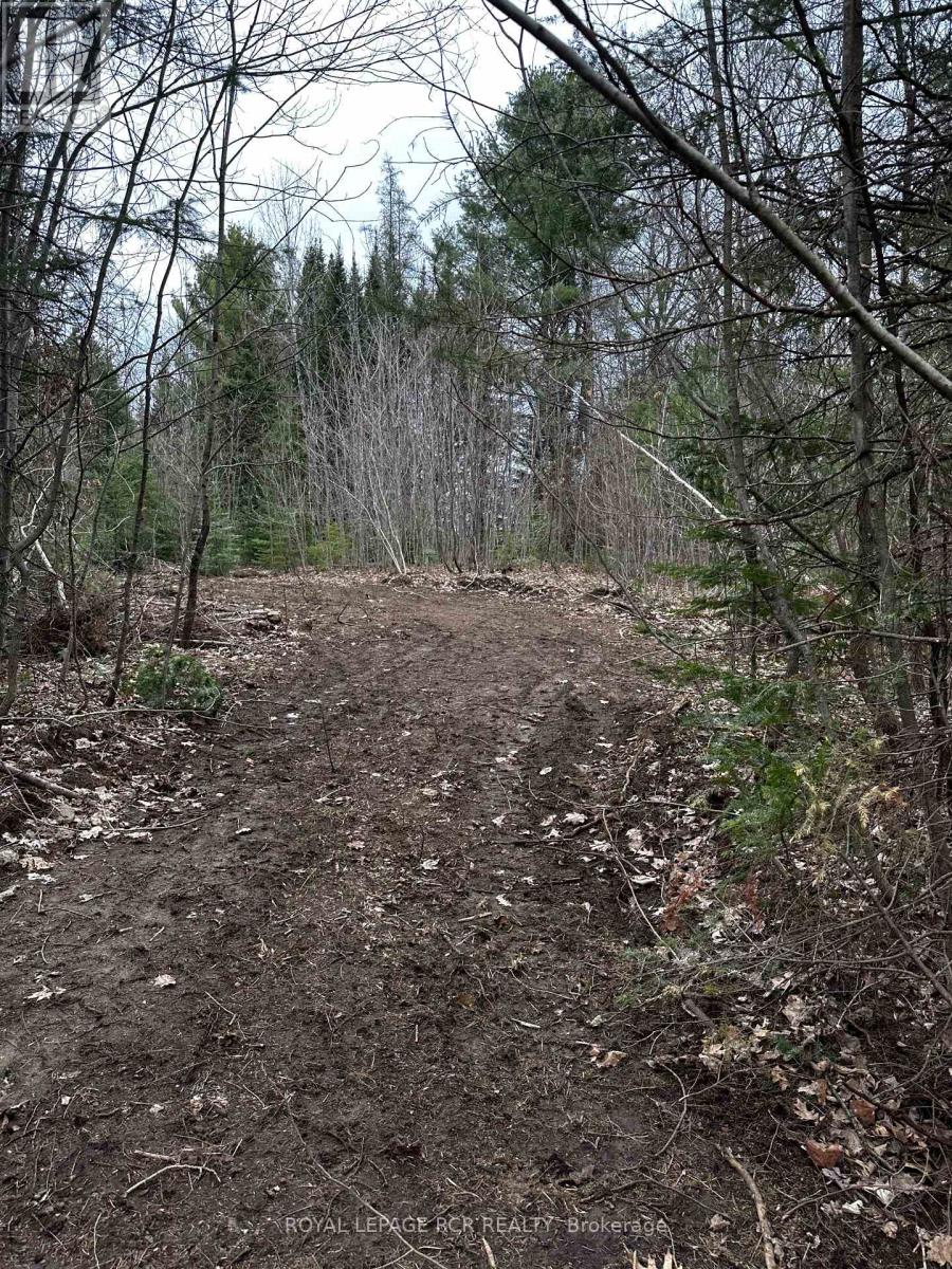 1527 Madill Road, Highlands East, Ontario  K0M 1R0 - Photo 10 - X12214957