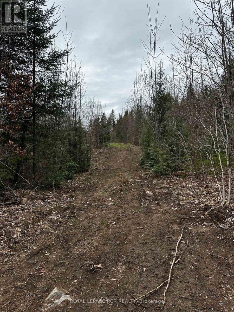 1527 Madill Road, Highlands East, Ontario  K0M 1R0 - Photo 11 - X12214957