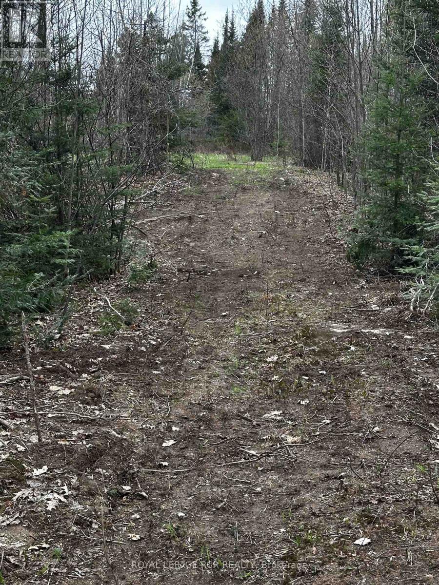 1527 Madill Road, Highlands East, Ontario  K0M 1R0 - Photo 12 - X12214957