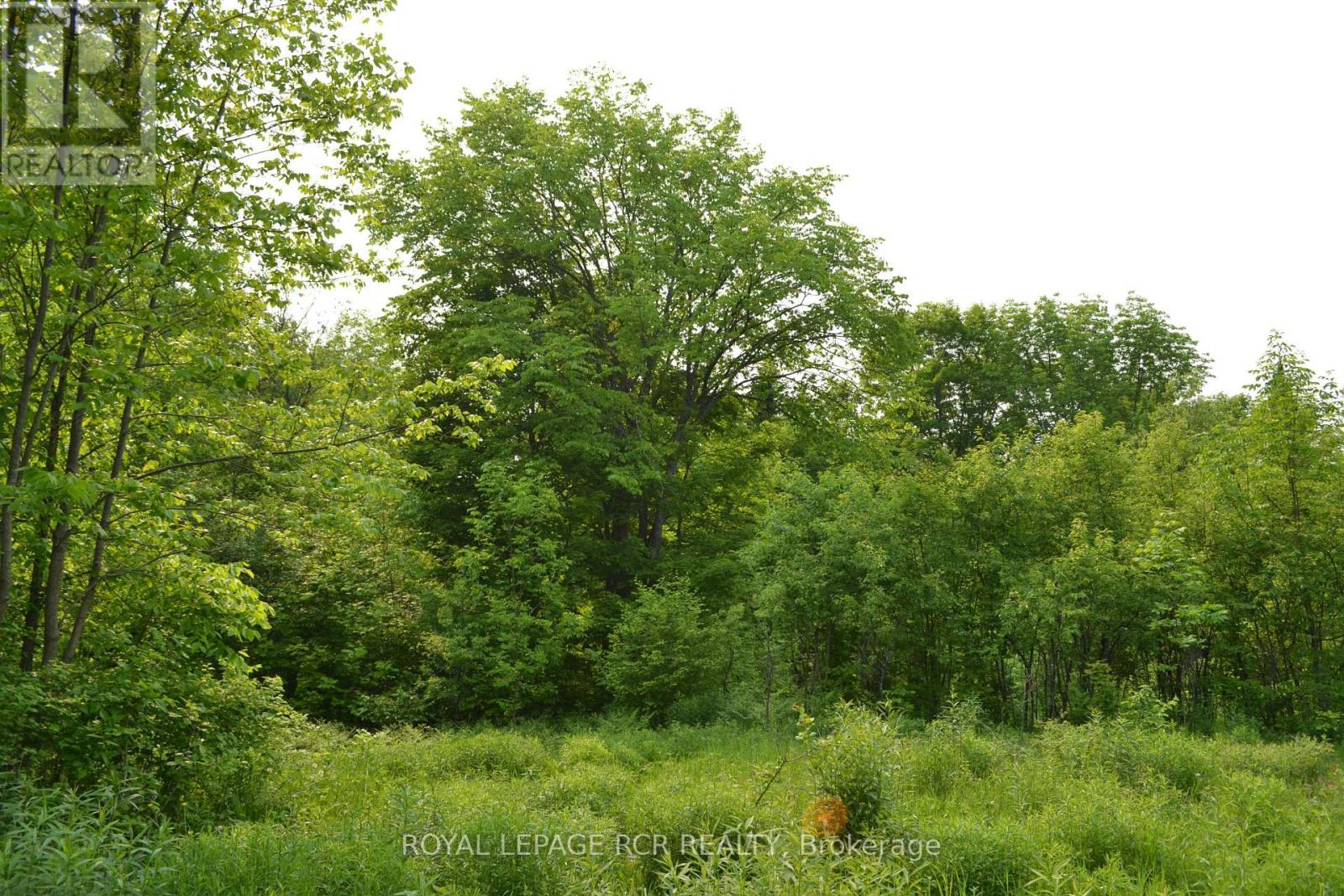 1527 Madill Road, Highlands East, Ontario  K0M 1R0 - Photo 2 - X12214957