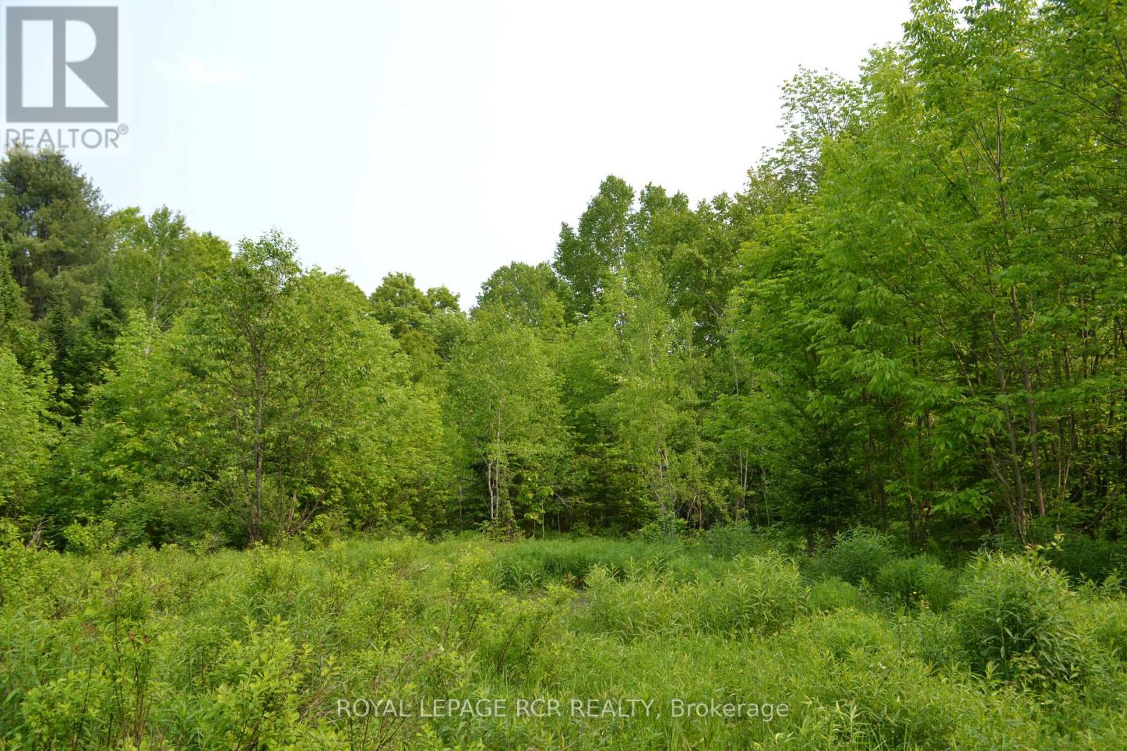 1527 Madill Road, Highlands East, Ontario  K0M 1R0 - Photo 3 - X12214957