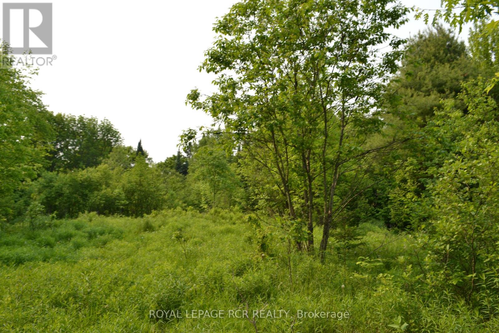 1527 Madill Road, Highlands East, Ontario  K0M 1R0 - Photo 5 - X12214957