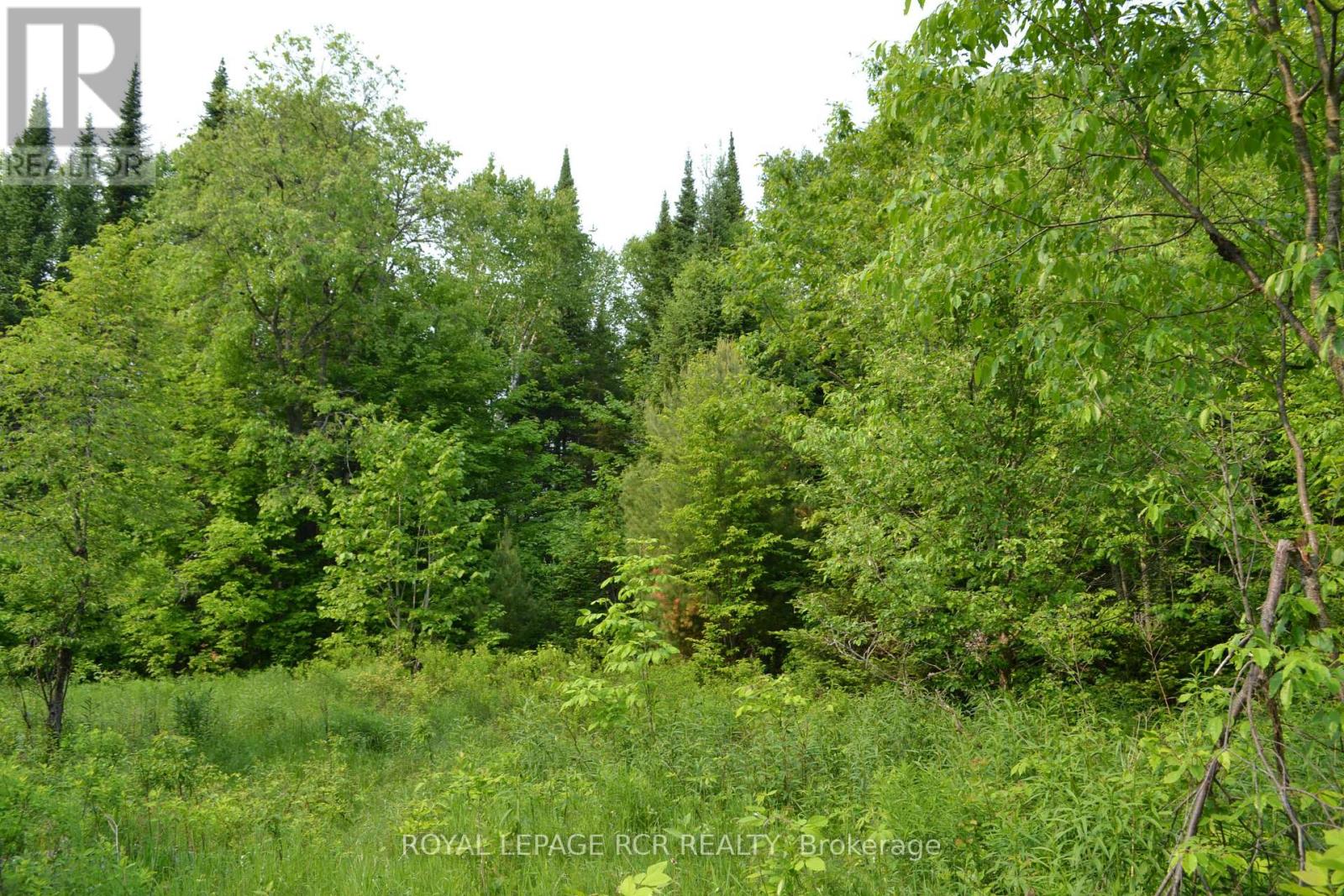1527 Madill Road, Highlands East, Ontario  K0M 1R0 - Photo 6 - X12214957