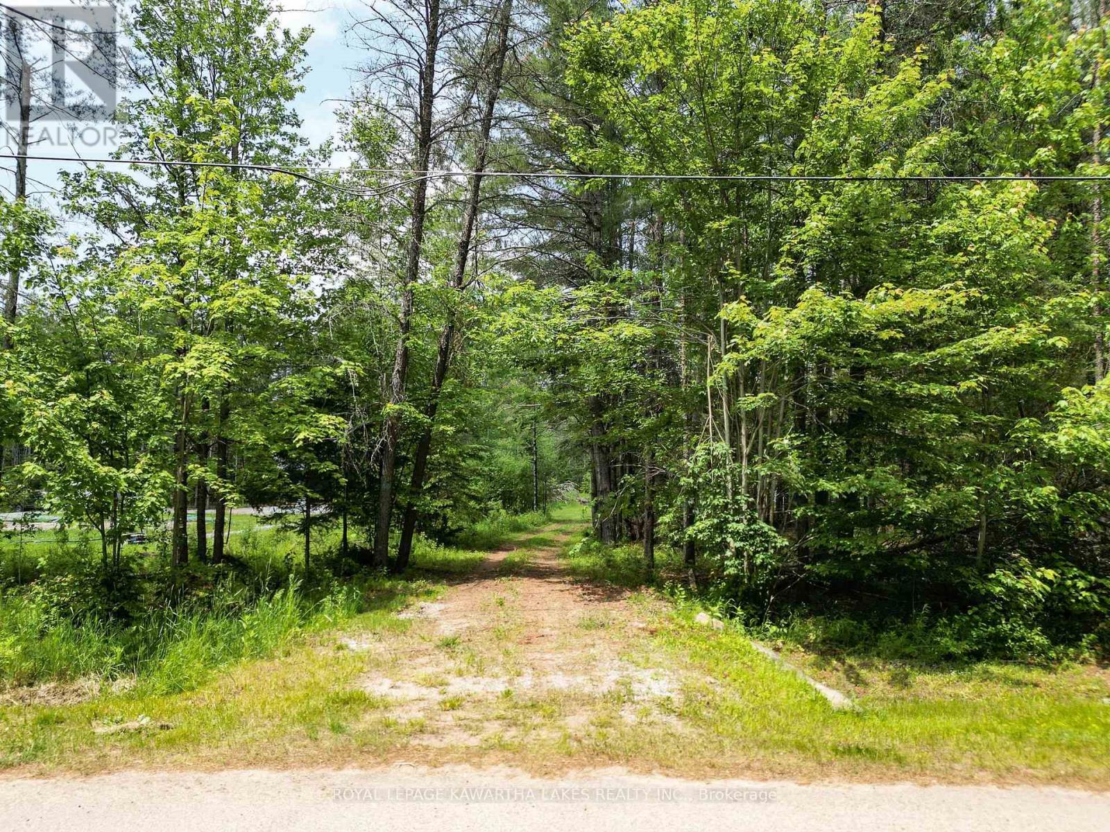Lot 8 Watson Drive, Kawartha Lakes, Ontario  K0M 1C0 - Photo 6 - X12214982