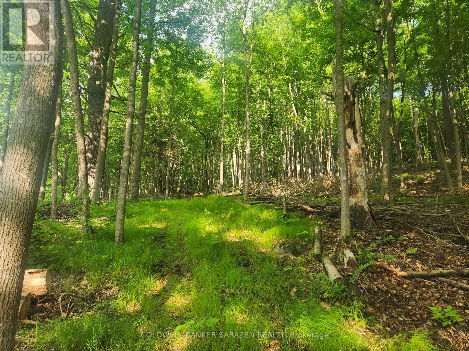 1680 Calabogie Road, Mcnab/braeside, Ontario  K0A 1G0 - Photo 11 - X12215001