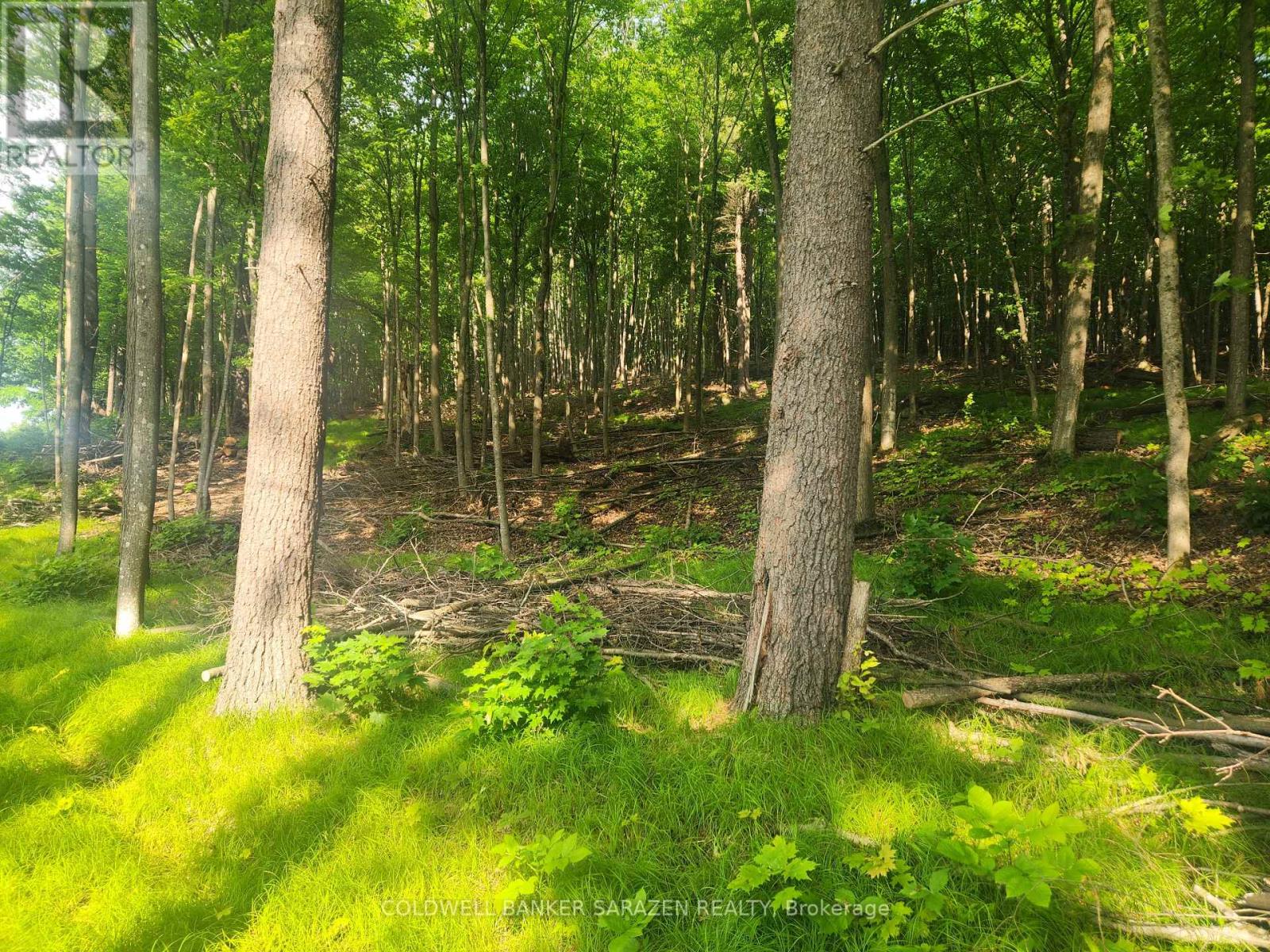 1680 Calabogie Road, Mcnab/braeside, Ontario  K0A 1G0 - Photo 12 - X12215001