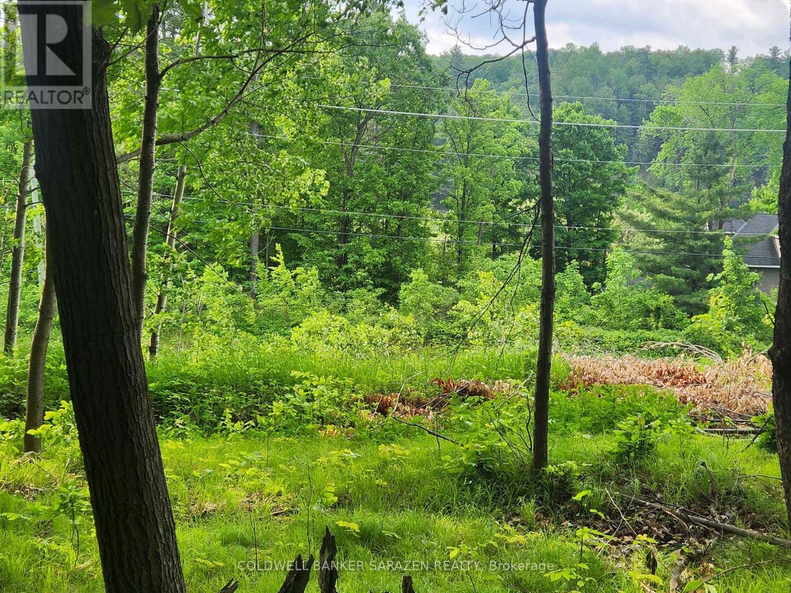 1680 Calabogie Road, Mcnab/braeside, Ontario  K0A 1G0 - Photo 4 - X12215001