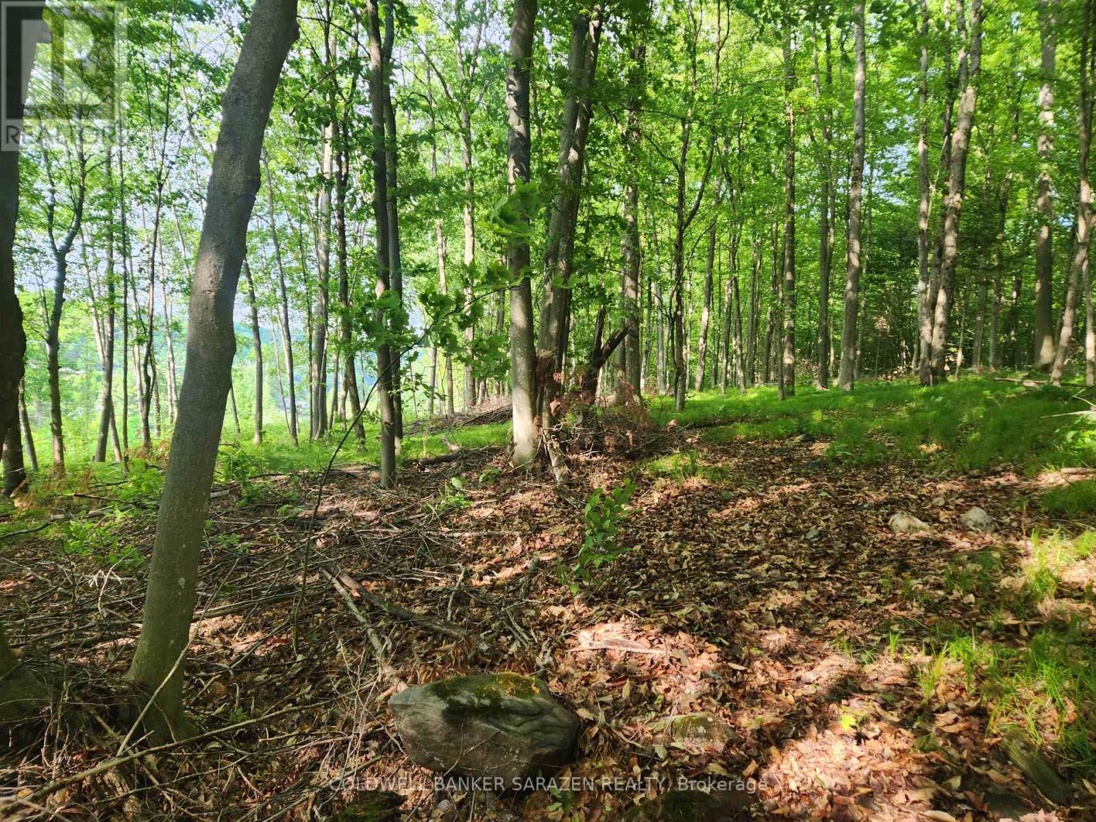 1680 Calabogie Road, Mcnab/braeside, Ontario  K0A 1G0 - Photo 7 - X12215001