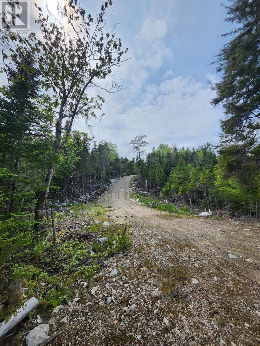 1184 Lake Charlotte Water Access Way, Upper Lakeville, Nova Scotia  B0J 2L0 - Photo 7 - 202514385