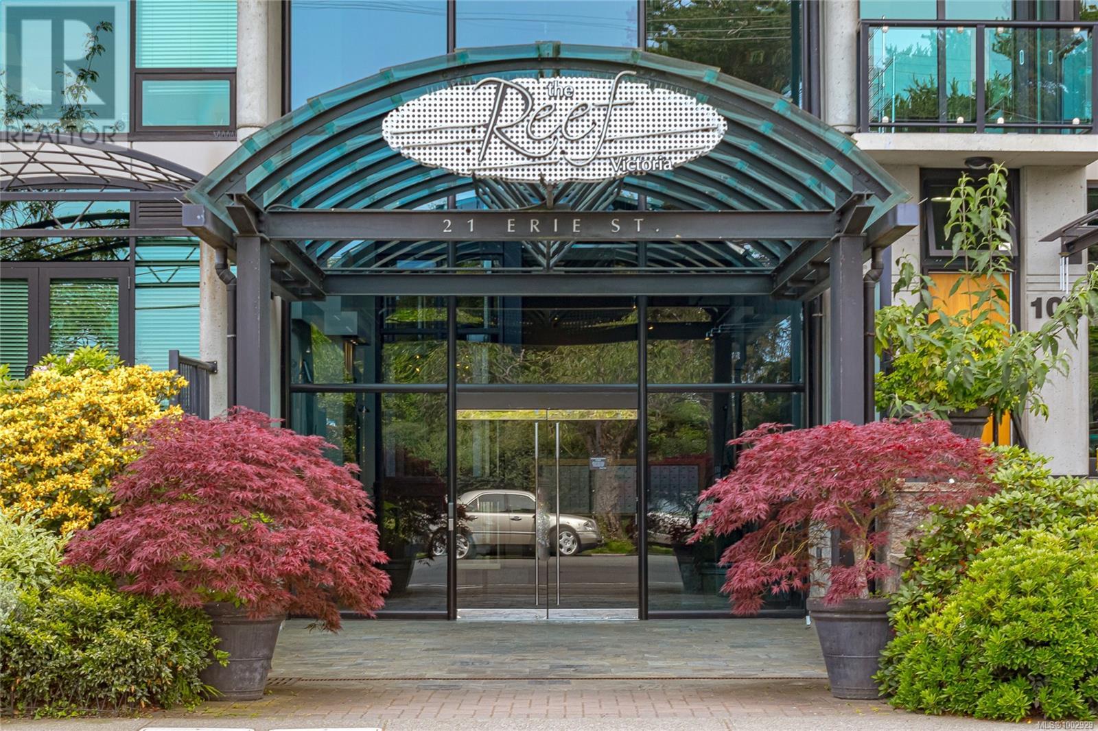 408 21 Erie St, Victoria, British Columbia  V8V 5A8 - Photo 3 - 1002929