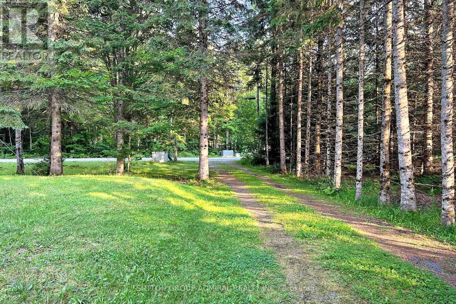 477 Balsam Chutes Road, Huntsville (Stephenson), Ontario  P0B 1L0 - Photo 8 - X12214981