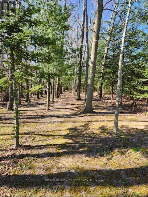 23471 Heritage Road, Thames Centre (Thorndale), Ontario  N0M 2P0 - Photo 6 - X12207780