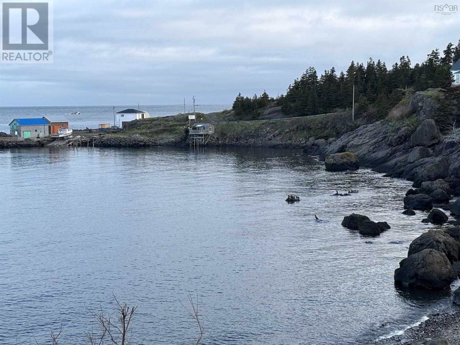 223 Whale Cove Road, Whale Cove, Nova Scotia  B0V 1E0 - Photo 5 - 202514364