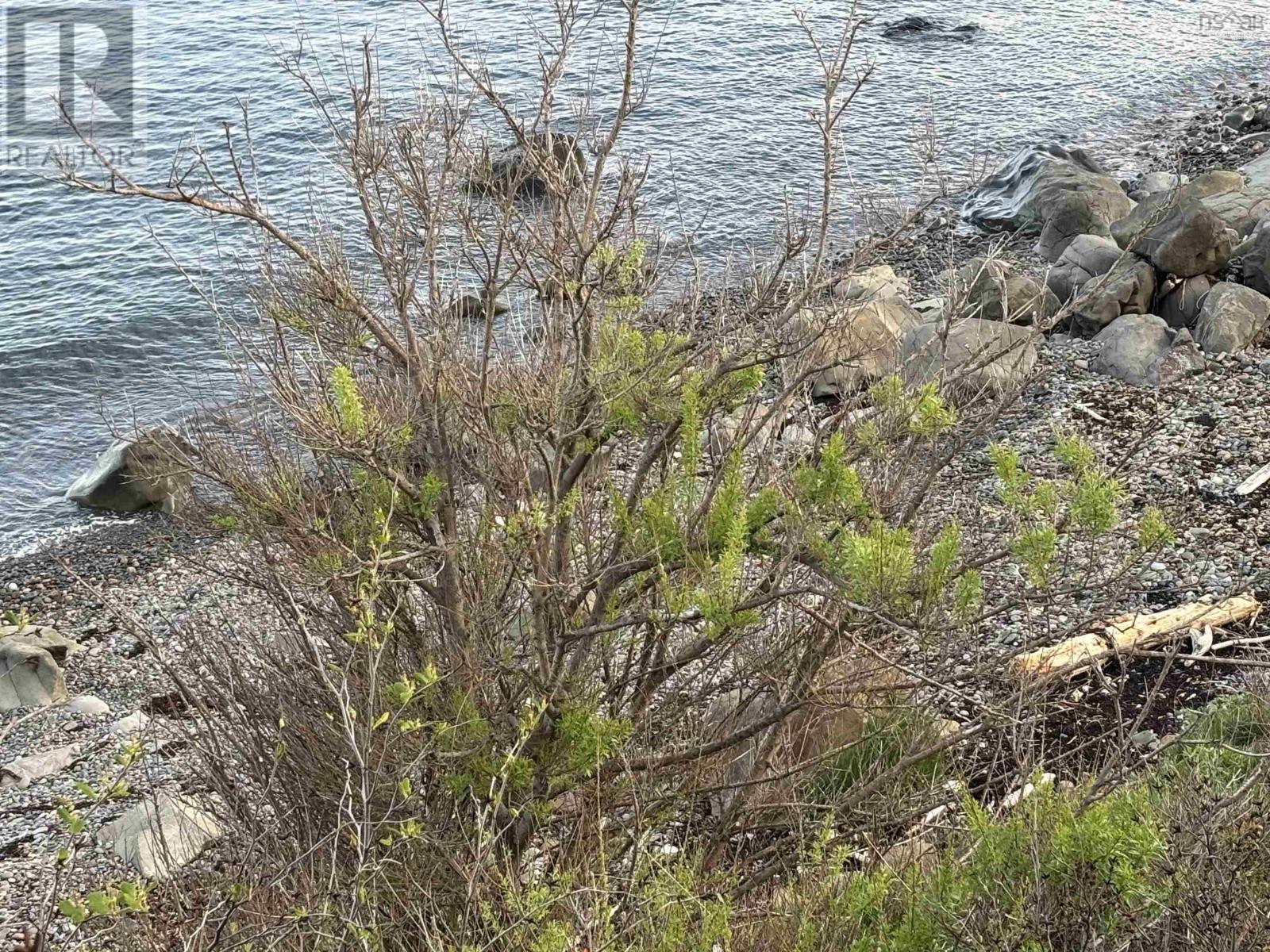 223 Whale Cove Road, Whale Cove, Nova Scotia  B0V 1E0 - Photo 6 - 202514364