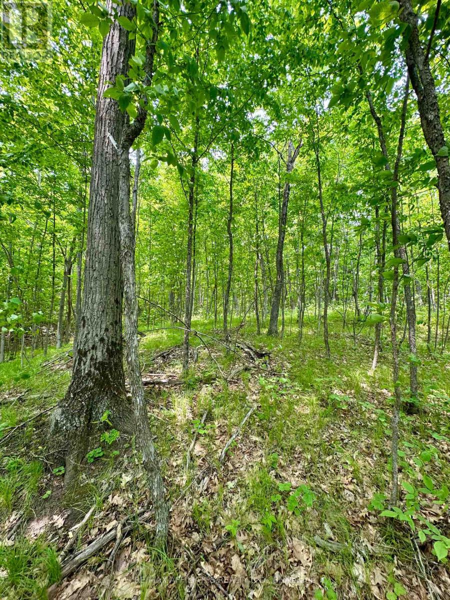 00 Crow Lake Road, Frontenac, Ontario  K0H 2B0 - Photo 10 - X12215326