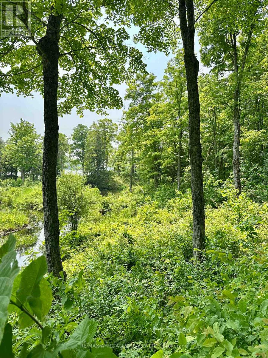 00 Crow Lake Road, Frontenac, Ontario  K0H 2B0 - Photo 11 - X12215326