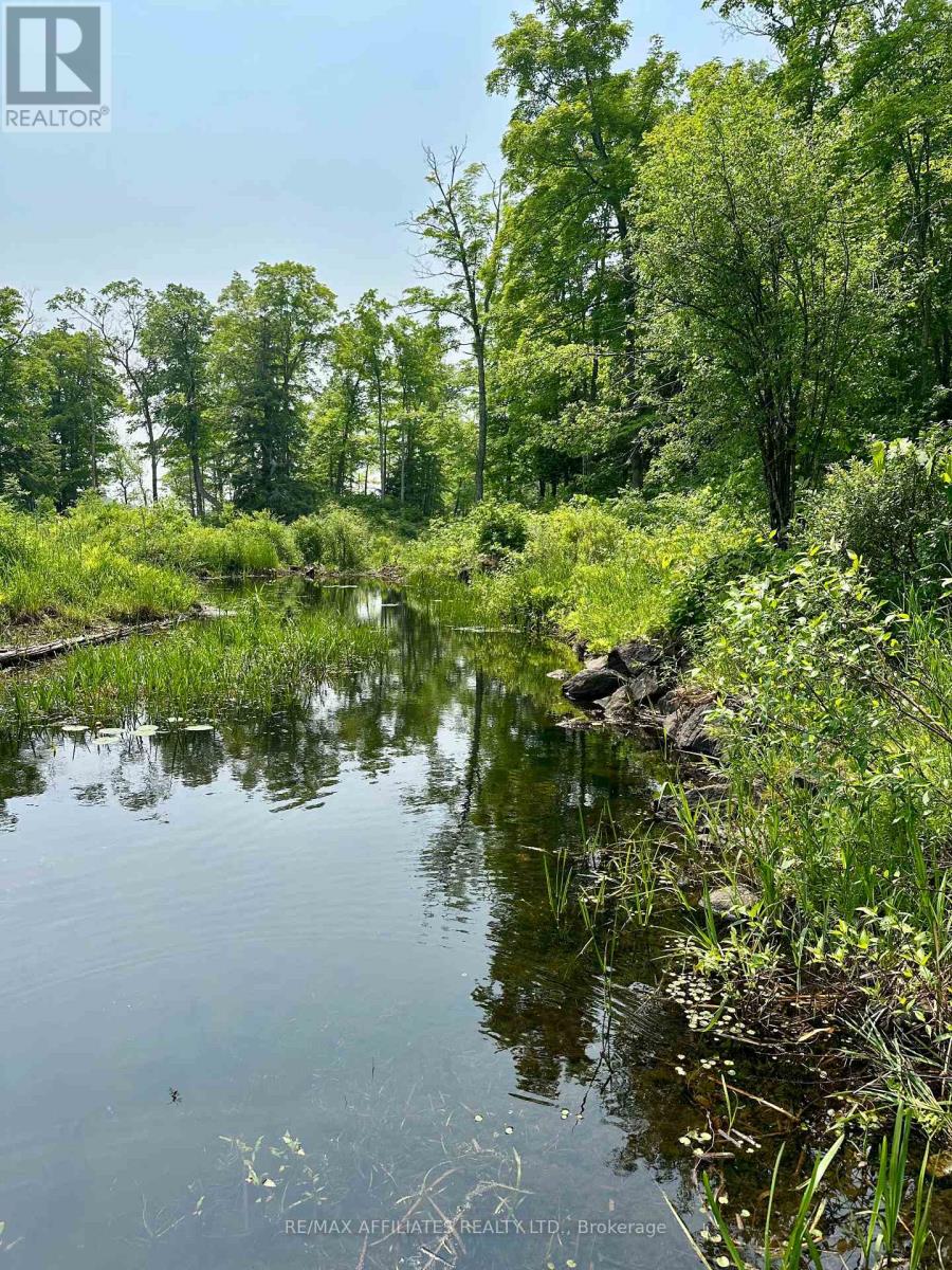 00 Crow Lake Road, Frontenac, Ontario  K0H 2B0 - Photo 12 - X12215326