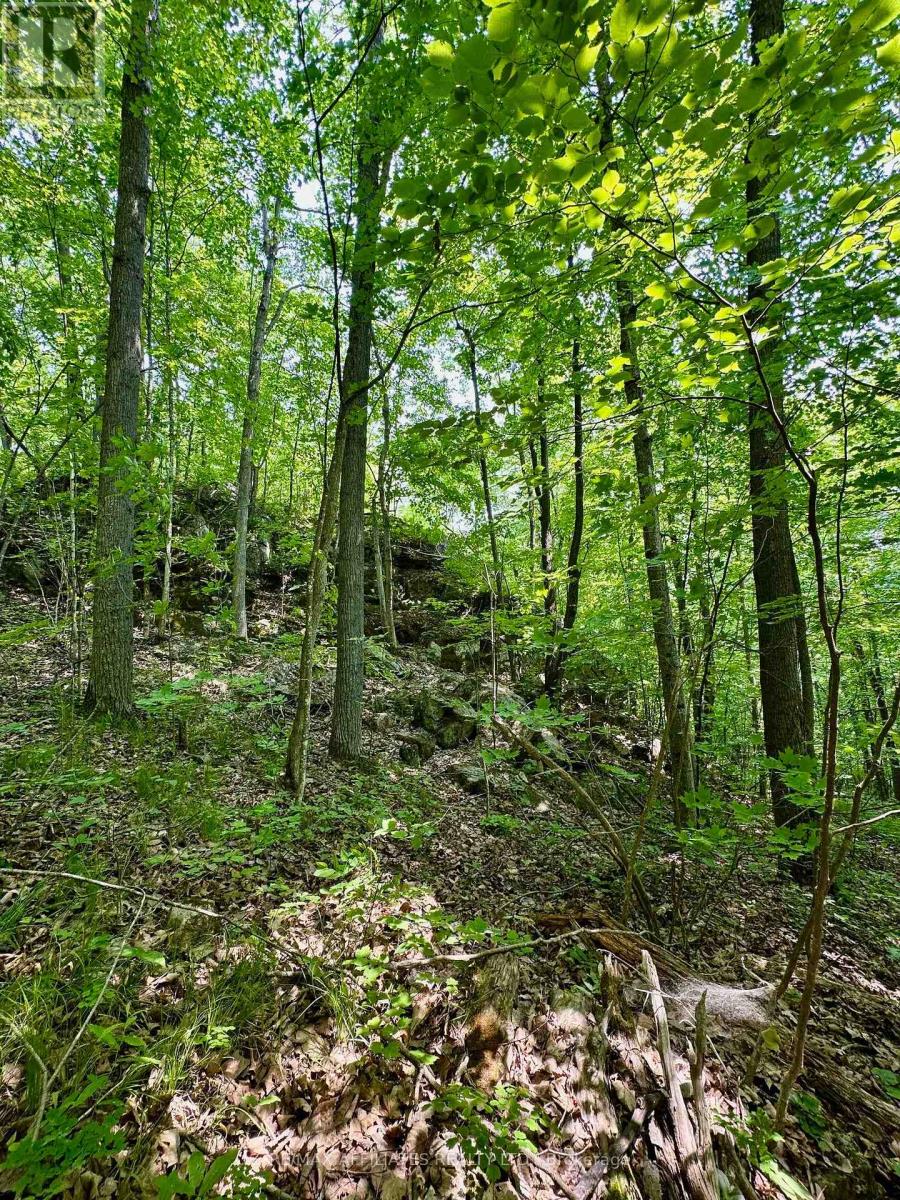 00 Crow Lake Road, Frontenac, Ontario  K0H 2B0 - Photo 13 - X12215326