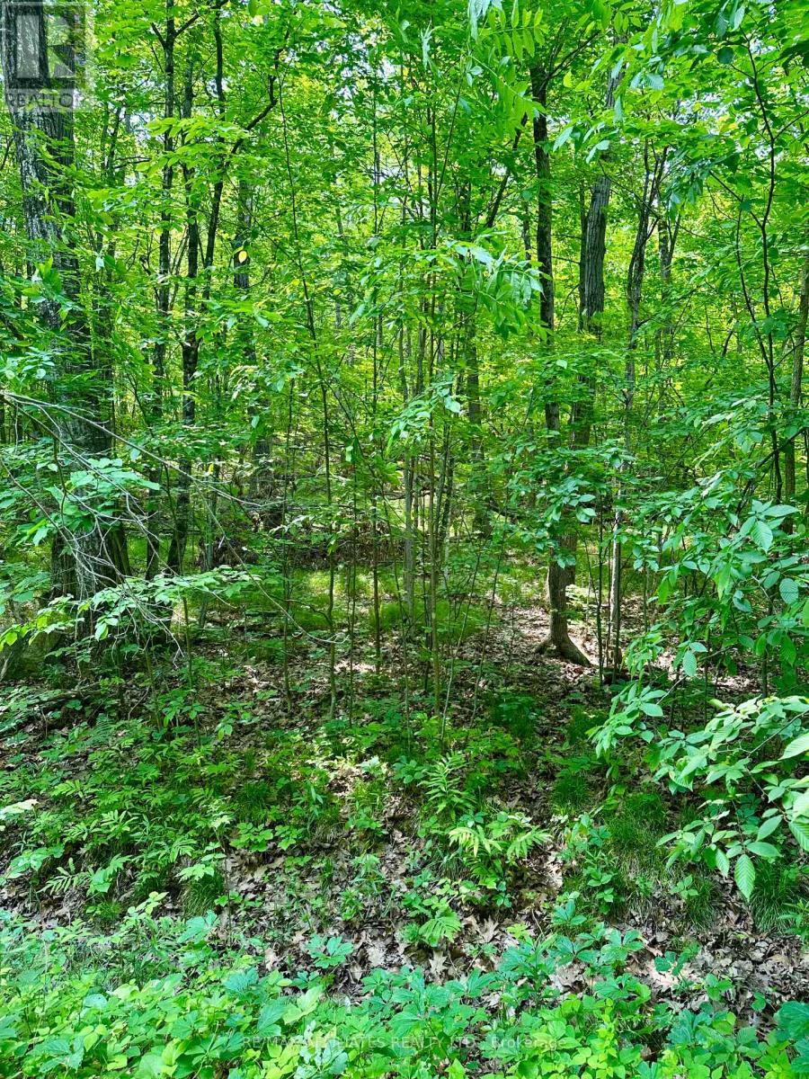 00 Crow Lake Road, Frontenac, Ontario  K0H 2B0 - Photo 15 - X12215326