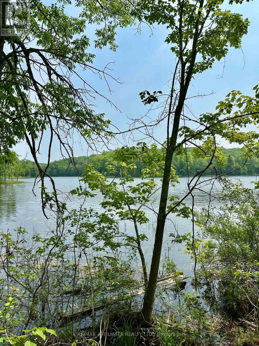 00 Crow Lake Road, Frontenac, Ontario  K0H 2B0 - Photo 7 - X12215326