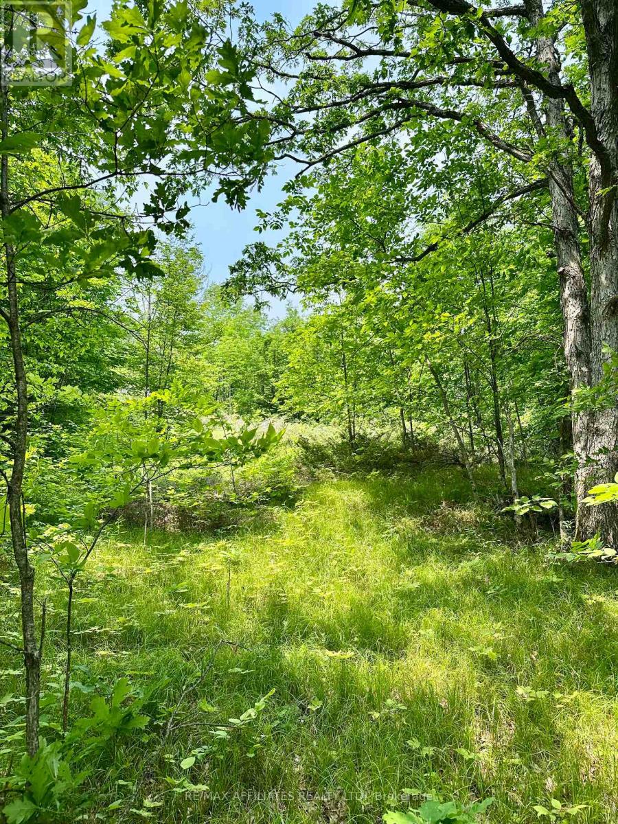 00 Harold Brash Lane, Frontenac, Ontario  K0H 2B0 - Photo 11 - X12215349