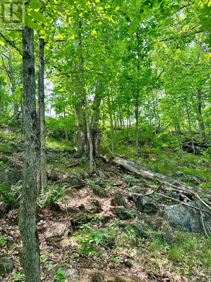 00 Harold Brash Lane, Frontenac, Ontario  K0H 2B0 - Photo 12 - X12215349
