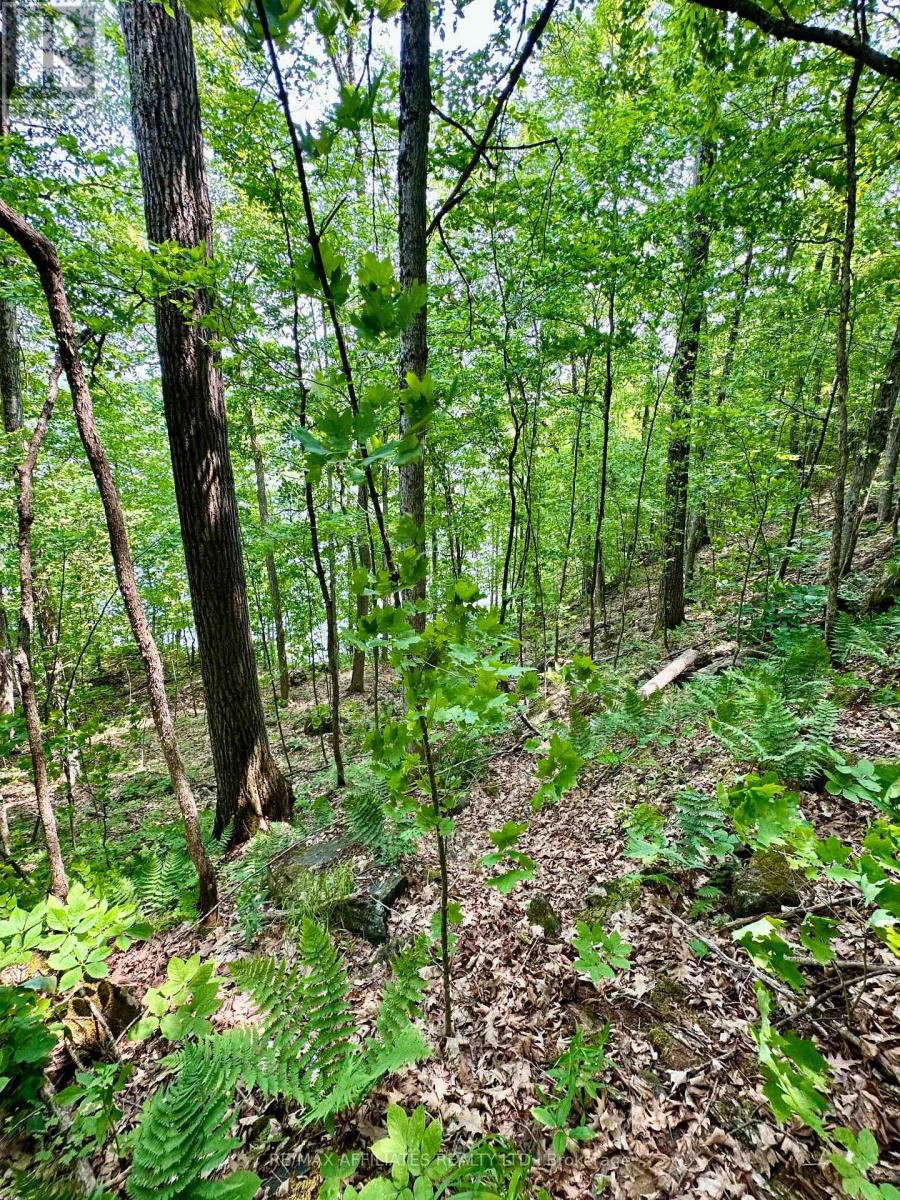 00 Harold Brash Lane, Frontenac, Ontario  K0H 2B0 - Photo 14 - X12215349