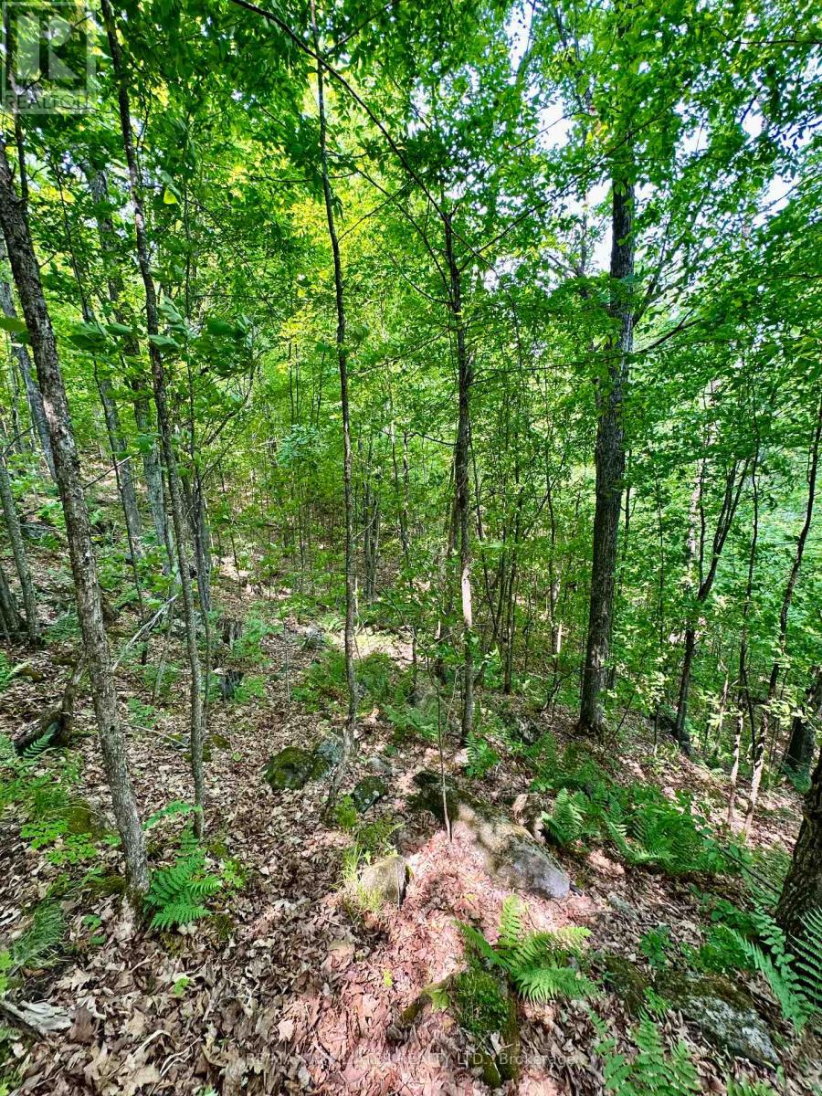 00 Harold Brash Lane, Frontenac, Ontario  K0H 2B0 - Photo 15 - X12215349