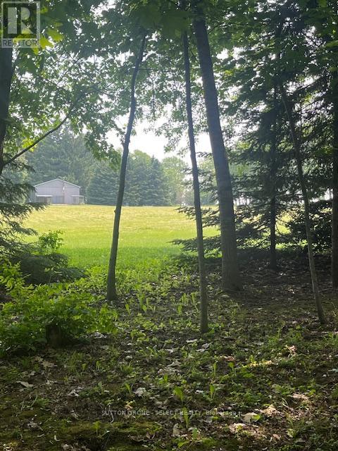 23471 Heritage Road, Thames Centre (Thorndale), Ontario  N0M 2P0 - Photo 48 - X12207780